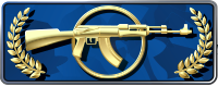 Рівень профілю 11