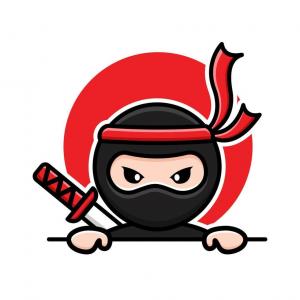 nINja