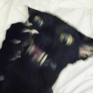 v1dE0